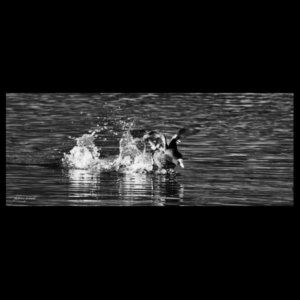 PHOTO84, CLUB, 84 , LUBERON